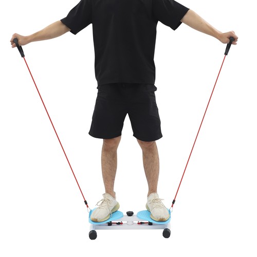 Esercizio twist board vita - esercizio,