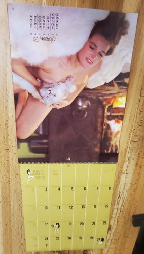 Raro calendario pin - raro,
