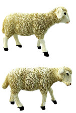 Pecore per Pastori Alti Cm