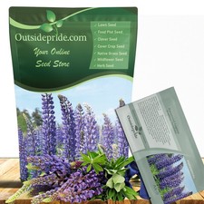 500 Seeds Blue Perennial