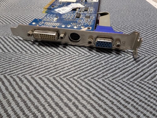 Geforce 7300 scheda - scheda, video