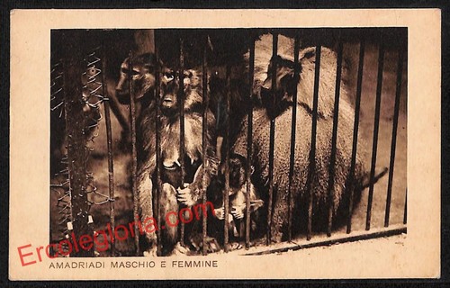 Ai0994 cartolina epoca - -,