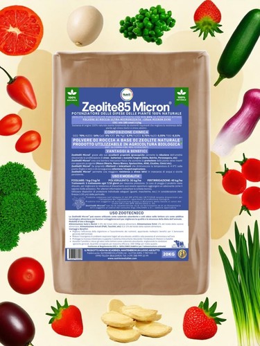 Zeolite pura micronizzata - pura,