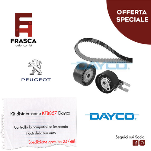 Kit distribuzione dayco - kit,