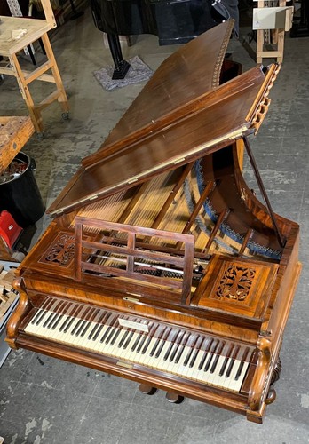 Raro broadwood chopin - raro,