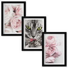 Set pinacoteca moderna con