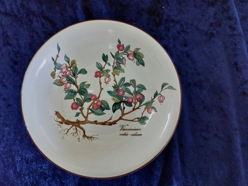 Villeroy&Boch*Botanica*piatto