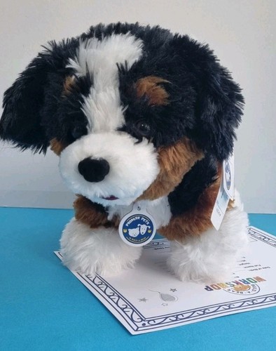 Costruisci orso bernese - orso,