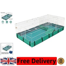 Elegante gabbia per porcellini