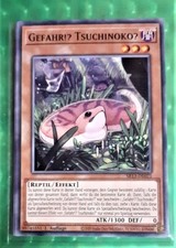 Yu-Gi-Oh SR13, Pericolo