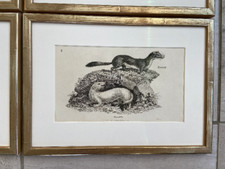 Esclusiva cornice portafoto in legno con cuscino argento su ordinazione tutte le misure 