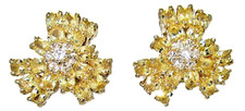 Zirconia Cubica Fiore