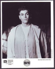 David Austin Green in TV