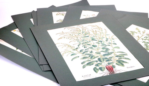 Originale xilografie - 10,