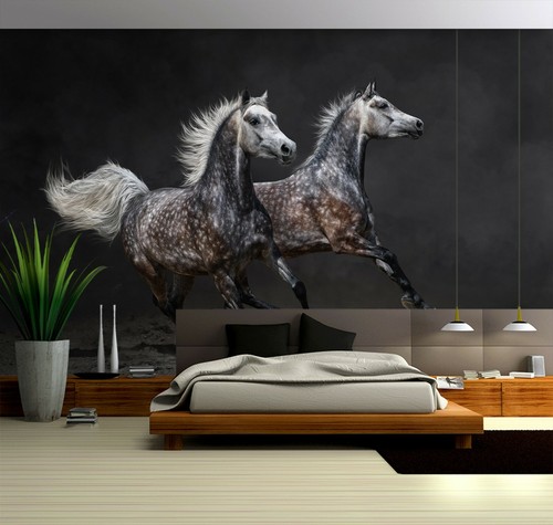 Carta parati black horse - 3d,