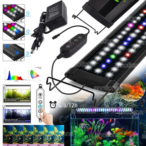 Acquario led rgb con timer - rgb,