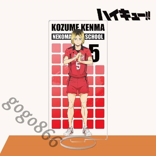Haikyuu establish brand - establish,
