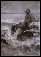 The Cloaked Rider 1995 Fantasy