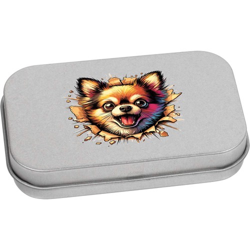 Angry chihuahua breakout - 'angry,