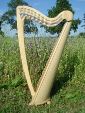 Roundback Arpa Frassino 34