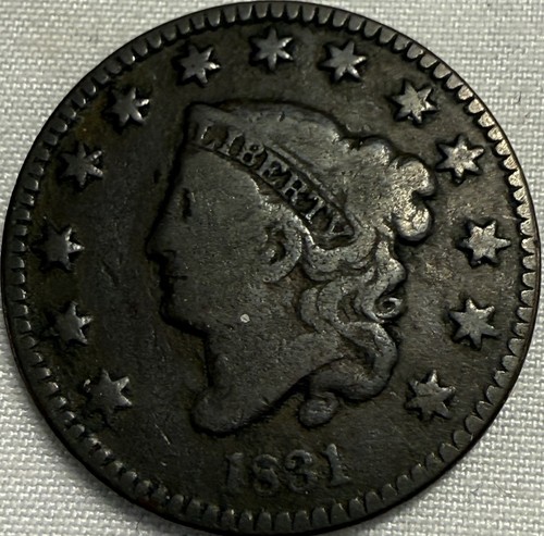 Testa coronetta grande - di,