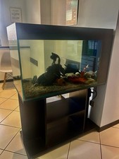 acquario completo usato