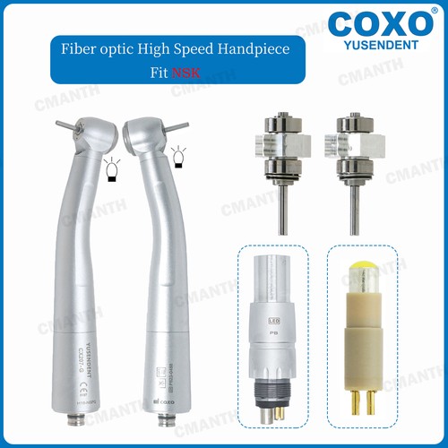 Coxo dentale fibra ottica - dentale,