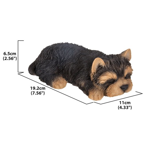 Yorkshire terrier puppy - yorkshire,