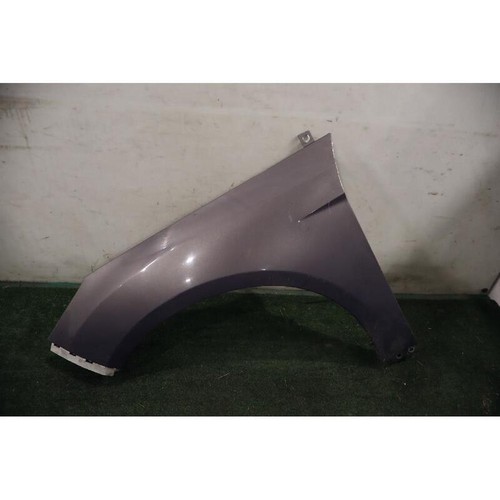 Parafango ant ford - sx,