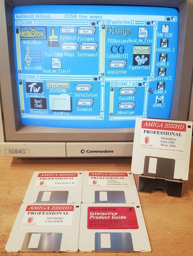 Dischi software interattivi
