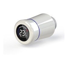 TESTA TERMOSTATICA TIEMME