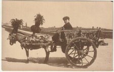 CARRETTO SICILIANO -59875-