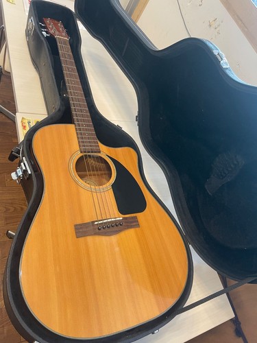 Chitarra elettrica acustica