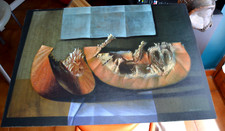 Giovanni Macciotta Serigrafia Litografia  Felix Shoeller Parole CA1