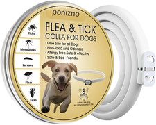 Antiparasitic Collar, Collare