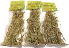 Piantine di genepy (6