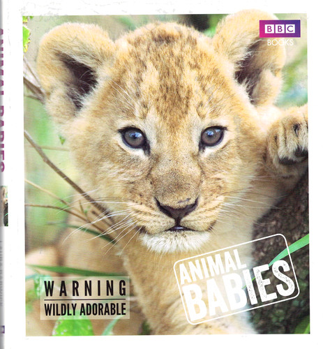 Animal babies laura barwick - animal,