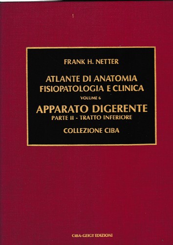 Atlante anatomia - atlante,