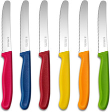 Coltelli Da Tavola,6 Pezzi Set Di Coltelli Da Cucina,Set Di Coltelli Da Bistecca