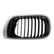 Griglia Radiatore Sinistro BMW