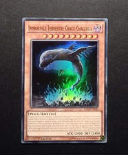 Yu-Gi-Oh | Immortale Terrestre