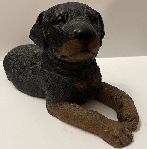 Scultura cucciolo rottweiler - scultura,