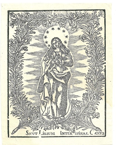 1700 madonna sicut lilium - 1700,