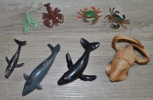 Set animali marini - animali, in
