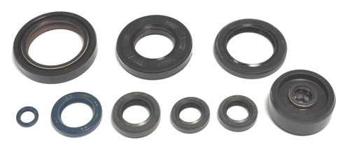 Kit guarnizioni olio motore