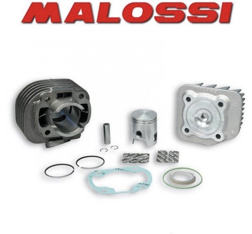 318562 gruppo termico malossi - 318562,