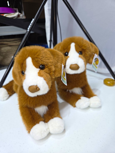 Peluche cane douglas - cane,