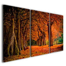 Quadro autunno Colors autumn I