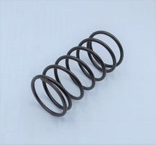 MOLLA BIAS L + K - COMPONENTE