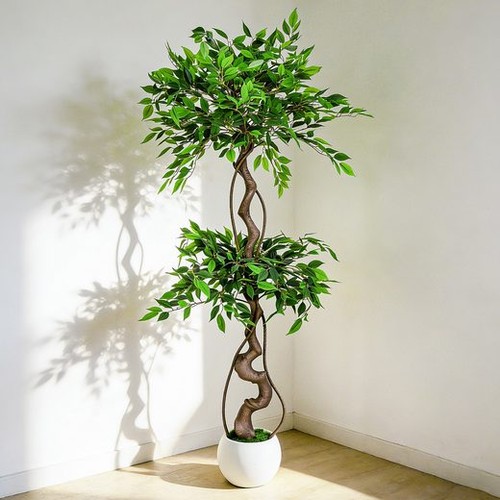 Albero ficus artificiale - albero,